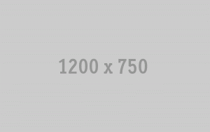 placeholder1
